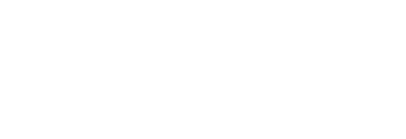 Logo Footer